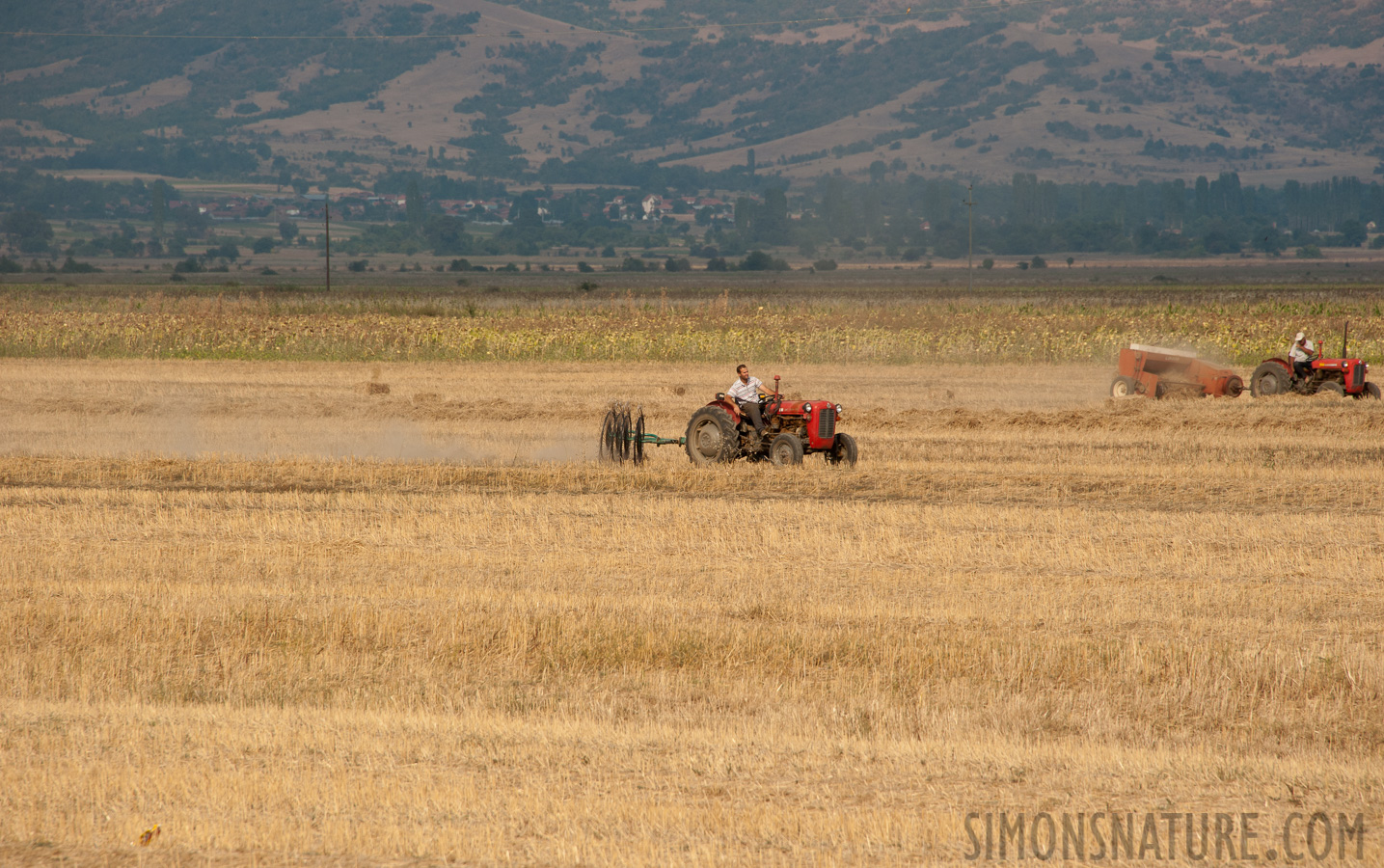 North Macedonia -  [300 mm, 1/500 sec at f / 10, ISO 400]